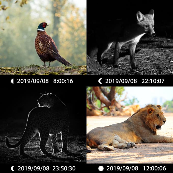 超赤外線狩猟カメラ 30MP1080P 室外野生生物の罠のための双眼鏡ゲームカメラ 防水940nmIRカメラ 6