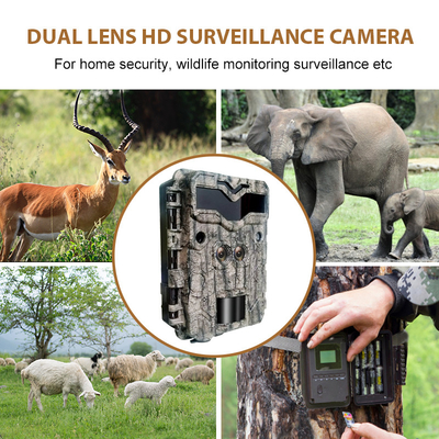 防水超4K HDの探求の道のカメラ モーションセンサーとの屋外夜カメラの野性生物の赤外線