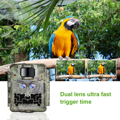 DC12V二重レンズ1080Pの野性生物の道のカメラ13MP CMOS白熱カム無し