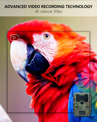 KW866 WIFI 狩猟野生生物のトレイル カメラ 防水 IP67 OEM/ODM 512GB ストレージ SDメモリーカード 32MP 4K 簡単使用