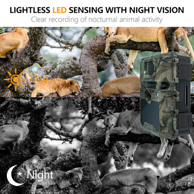 KW571 工場 OEM ODM ミニ 野生動物 偵察 タイムラップス トレイル カメラ IP67 無光 CMOS センサーとSD メモリ 夜景