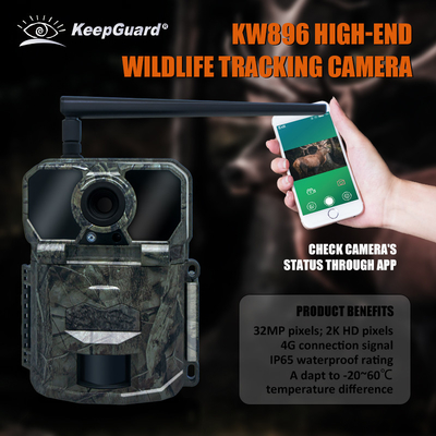 KW896 狩猟野生動物追跡カメラ 4G 携帯電話追跡カメラ 工場販売 OEM ODM 野生動物監視カメラ