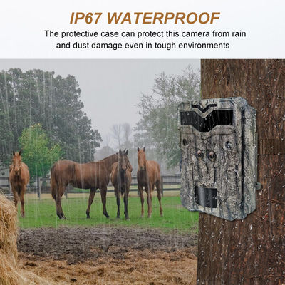 このプロ仕様の狩猟カメラHD狩猟カメラで、見事な32MP写真と1080Pビデオを撮影しましょう