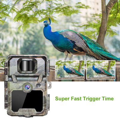 KW571 工場 OEM ODM ミニ 野生動物 偵察 タイムラップス トレイル カメラ IP67 無光 CMOS センサーとSD メモリ 夜景