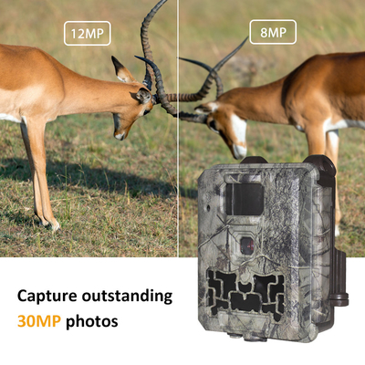 野生動物トライルカメラ 輝きなし 30MP画像 1080P ビデオ 防水 IP67 最大 512GB ストレージ 競争力のある価格 狩猟カメラ