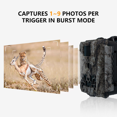 野生動物トライルカメラ 輝きなし 30MP画像 1080P ビデオ 防水 IP67 最大 512GB ストレージ 競争力のある価格 狩猟カメラ
