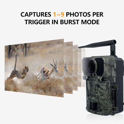 32MP 4Gトレイルカメラ、0.2秒の高速トリガー時間、写真/ビデオ/写真ビデオモード搭載で多用途