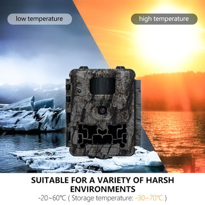 自動IRカット除去機能を備えたプロ仕様の狩猟用カメラ、450mmマイクロレンズ対応で、野生生物の鮮明で詳細な画像を撮影