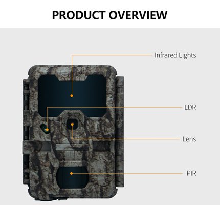KW865 WIFI 隠しカメラ 防水 IP67 20MP 0.6s トリガー速度 512GB までのストレージ ナイトビジョントライル カメラ