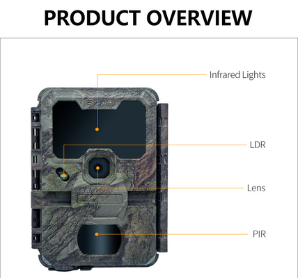 WIFIトライルカメラ KW866 防水 IP67 OEM/ODM最大 512GB ストレージ SDメモリーカード 32MP 4K野生生物カメラ