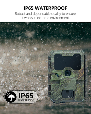WIFIトライルカメラ KW866 防水 IP67 OEM/ODM最大 512GB ストレージ SDメモリーカード 32MP 4K野生生物カメラ