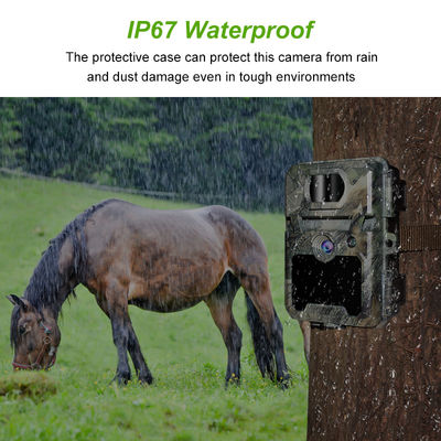 IP67 無光狩猟カメラ 450mm マイクロレンズサポートと 1s-60m インターバル HD 狩猟カメラ