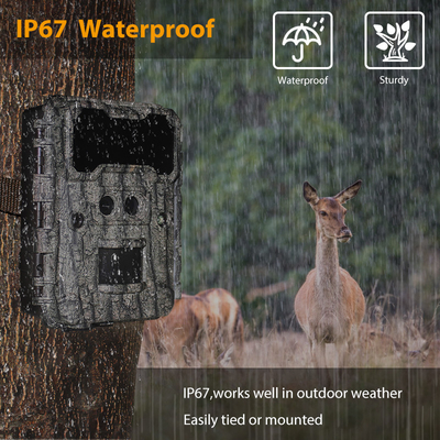 屋外狩猟カメラ KW696 デュアルレンズ 30MP 防水 IP67 512GB までの1080p ナイトビジョン