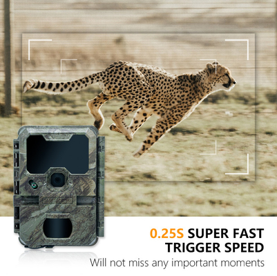 狩猟カメラ KW788 防水 IP67 4K ビデオ 32MP 簡単 ナビゲート シンプル 信頼性の高い長時間作業時間