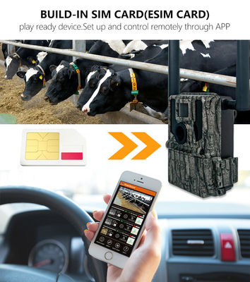 狩猟・トレイルカメラ 太陽光パネル 4G 無線カメラ KW897 ダブルアンテナ 100フィート ナイトレンジ 36MP 2Kビデオ 30fps