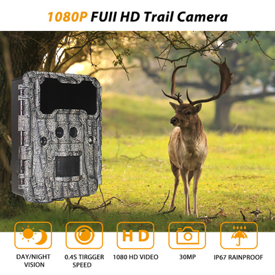 30MP HD 狩猟カメラ 無光 LED 夜視と PIR 機能