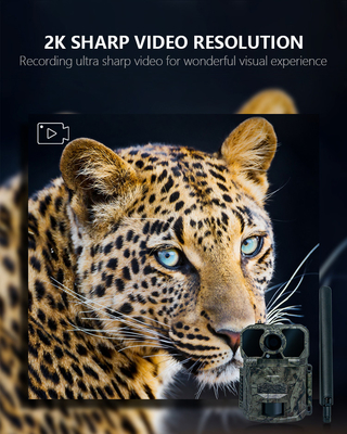 2025 最新ハイエンド KW896 アンテナ 100フィート ナイトレンジ 32MP 2K 狩猟カメラ GSM 4G 野生生物研究 トレールカメラ