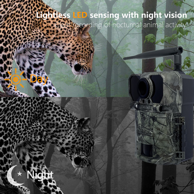 4G 狩猟追跡カメラ KW895 APP 2K FHD ビデオ 30MP 画像 防水 IP67 野生生物研究のための最大 512GB ストレージ