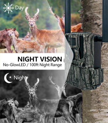 4G用のハイエンドGMS 狩猟カメラ KW897 双アンテナ100フィートの夜間範囲 夜間ビジョン 36MP 2Kビデオ 野生生物研究