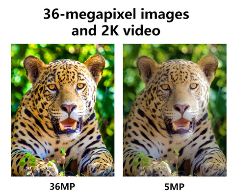 4Gセルラー無線狩猟カメラ KW897 SIMカード内蔵 36MP カプチャ 2Kビデオ 30fps ワイルドライフのためのダブルアンテナ