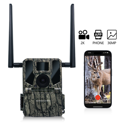 4Gセルラー無線狩猟カメラ KW897 SIMカード内蔵 36MP カプチャ 2Kビデオ 30fps ワイルドライフのためのダブルアンテナ