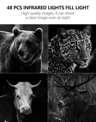 4Gトレイルカメラで比類のないパフォーマンスを体験 - 野生生物モニタリングに最適なソリューション