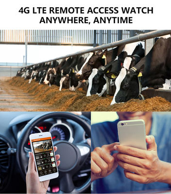 4Gトレイルカメラで比類のないパフォーマンスを体験 - 野生生物モニタリングに最適なソリューション