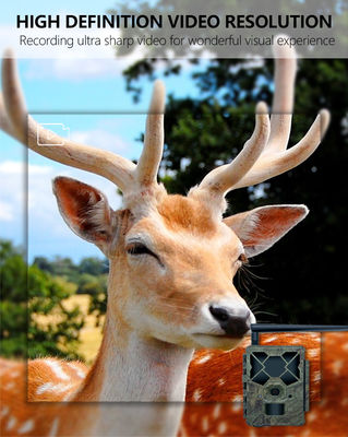 4Gトレイルカメラで比類のないパフォーマンスを体験 - 野生生物モニタリングに最適なソリューション