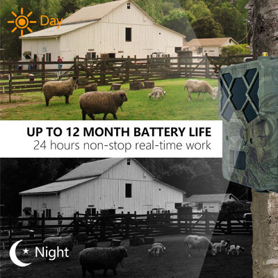 4Gトレイルカメラで比類のないパフォーマンスを体験 - 野生生物モニタリングに最適なソリューション