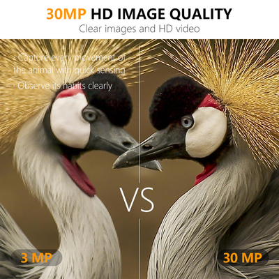 ミニワイヤレス野生生物偵察カメラ 30MP カモフラージュ IP66 防水とPIR 狩猟とセキュリティ機能