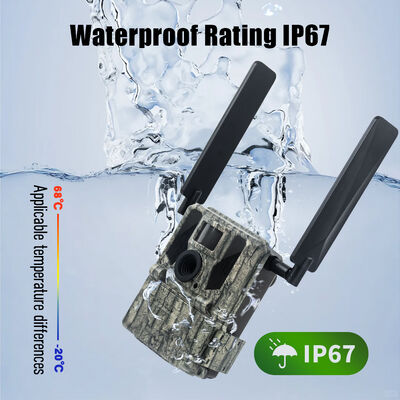 リモートビュー機能と堅牢なハウジングを備えた4Gトレイルカメラ。遠隔地での詳細な画像キャプチャに最適