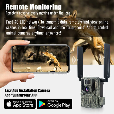 リモートビュー機能と堅牢なハウジングを備えた4Gトレイルカメラ。遠隔地での詳細な画像キャプチャに最適