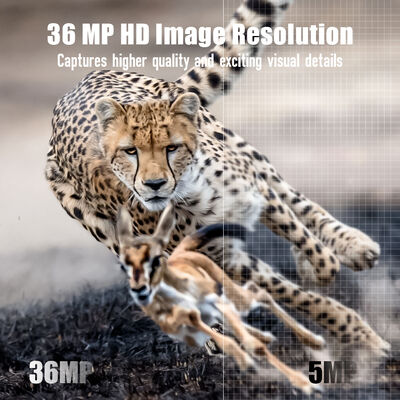 リモートビュー機能と堅牢なハウジングを備えた4Gトレイルカメラ。遠隔地での詳細な画像キャプチャに最適
