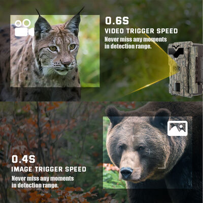 コンパクトHD狩猟カメラ 高解像度画像と運動活性化記録を屋外監視のために提供