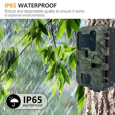 プロの屋外動物観察に適した110×97×66mmサイズの2インチ液晶狩猟カメラ