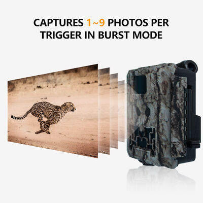 野生動物の観察とセキュリティのための24インチ画面赤外線ナイトビジョンを備えたIP66防水狩猟用カメラ