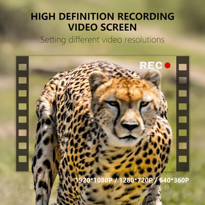 野生動物の観察とセキュリティのための24インチ画面赤外線ナイトビジョンを備えたIP66防水狩猟用カメラ