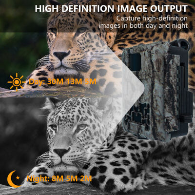 野生動物の観察とセキュリティのための24インチ画面赤外線ナイトビジョンを備えたIP66防水狩猟用カメラ