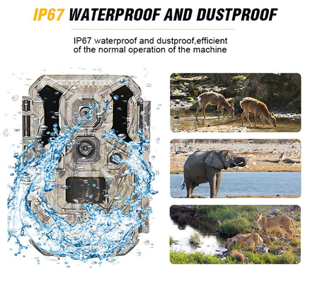 赤外線LEDsの野性生物の探求のカメラ30MP 1080P IP66