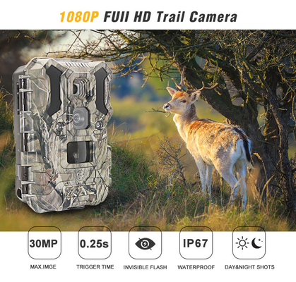 赤外線LEDsの野性生物の探求のカメラ30MP 1080P IP66