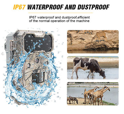 モーションアクティベーションの野生生物カメラ