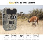 動物観察 シカ狩り ビデオカメラ 1920x1080P