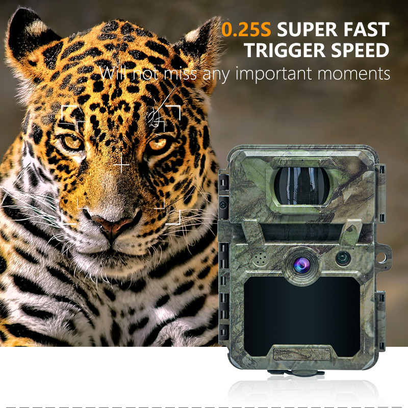 トレールカメラ ODM/OEM KW571 防水 IP67 無光 CMOS センサー 30MP 写真 1080P 0.25s スイッチ速度 ナイトビジョン