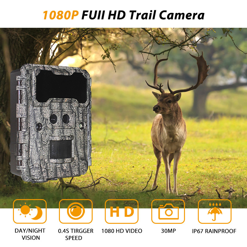 30MP HD 狩猟カメラ 無光 LED 夜視と PIR 機能