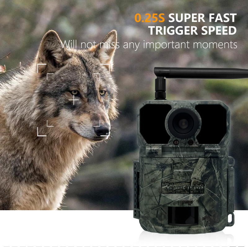 4G 狩猟追跡カメラ KW895 APP 2K FHD ビデオ 30MP 画像 防水 IP67 野生生物研究のための最大 512GB ストレージ