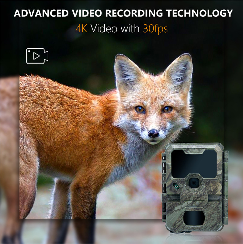 ナイトビジョン 狩猟カメラ 小サイズ KW788 0.1s トリガー 32MP 鋭い画像 4K ビデオ 狩猟用 防水 IP67