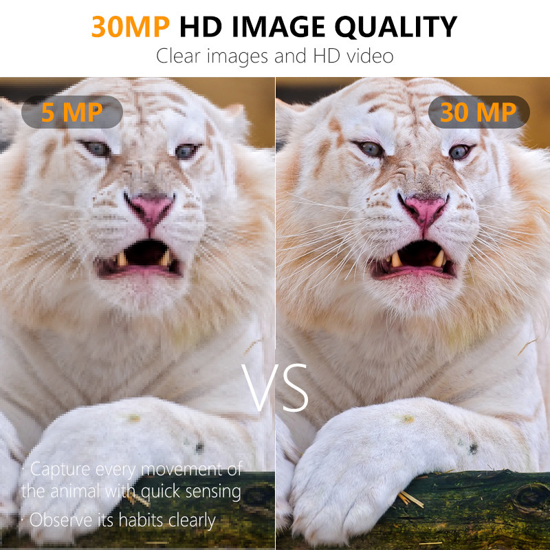 ミニサイズ 費用対効果の高い狩猟カメラ KW561 30MP/1080P 防水 IP67 最大 512GB 0.3s トリガーで野生動物の狩猟